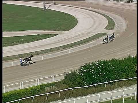 Trotto 16/10/2018 - prova di qualifica