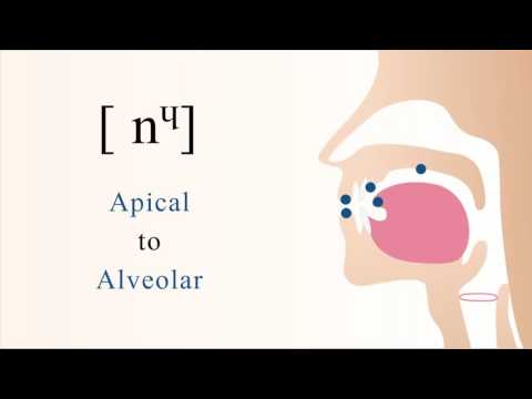 [ nᶣ ] unvoiced palatalized labialized apical alveolar nasal stop