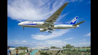 Because of Love ＆Exotic Bird MALTA