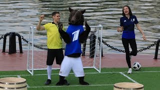 Медведь в роли эксперта Мирового чемпионата мира по футболу
