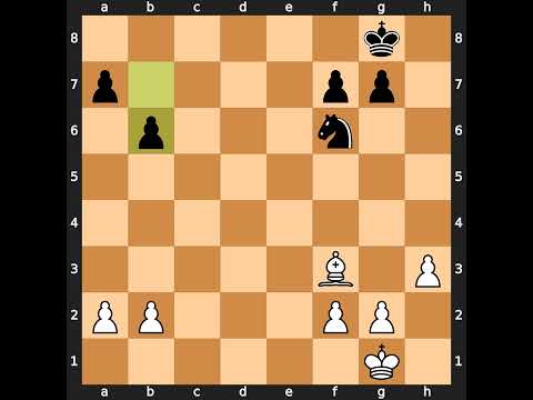 Milan Vidmar-Frank Marshall, Karlsbad 1929, Result: 1-0