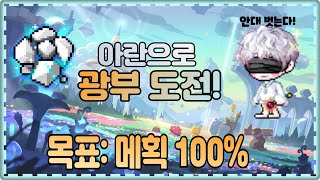 아란으로 광부하기!