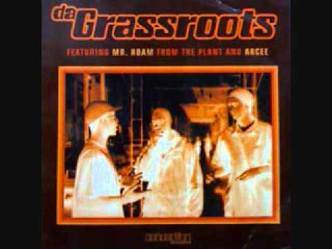 Da Grassroots - Thematics (Instrumental)