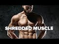 How to Build Shredded Muscle - The TRUTH!