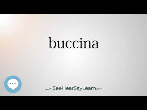 buccina - Smart & Obscure English Words Defined 🗣🔊