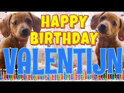 Happy Birthday Valentijn! ( Funny Talking Dogs ) What Is Free On My Birthday