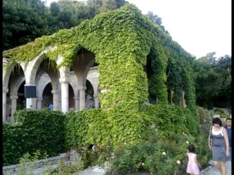 M.V. - 1995-07-02 - 04 - Gusts Of Tenderness 2-2