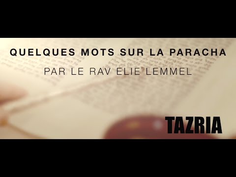 Le 8ème jour ! Rav Elie Lemmel - Parasha Tazria