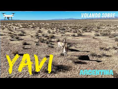 Yavi Jujuy Argentina 🇦🇷 DRONE FOOTAGE 4K