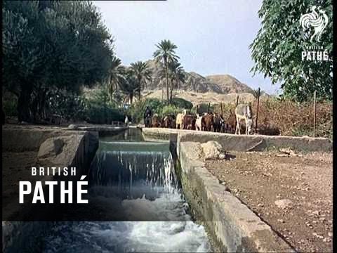 Out Takes - Cuts From Cp 601 - Reel 1 Of 2 - Jericho (1966)