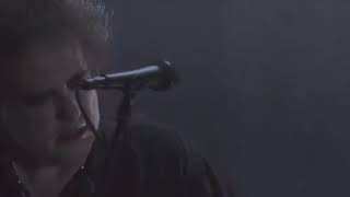the cure babble live