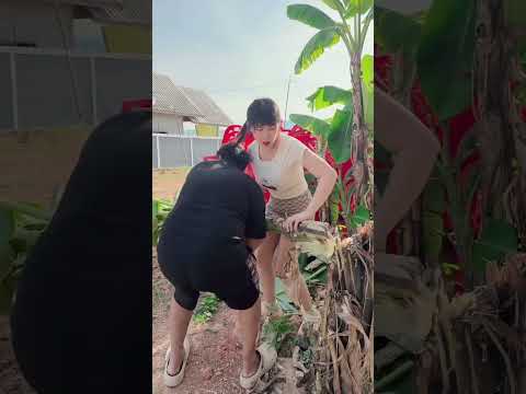 อ้ายบ่ได้ตั้งใจ #funny #funnyvideo #comedy