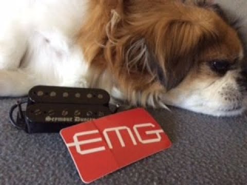 EMG vs Black Winter Seymour Duncan