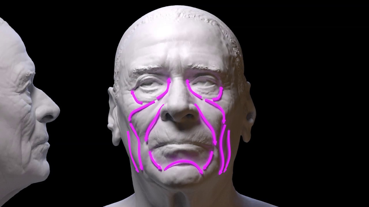 Eight Important Anatomical Landmarks For The Face