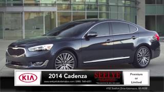 preview picture of video '2014 Kia Cadenza Model Review - Kalamazoo, MI'