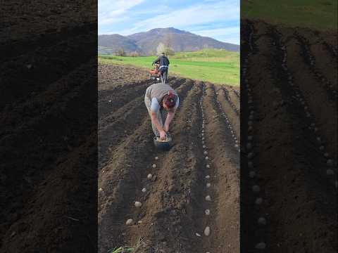 Željan sam Bosne😪