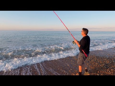 Tunge og lille fjæsing fra den engelske kyst
