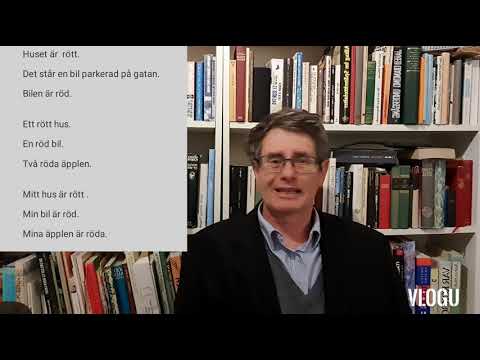 Schwedisch lernen - En oder ett - utrum oder neutrum