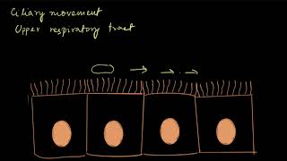 Types of movement | Locomotion and movement | Biology | Khan Academy