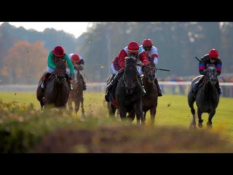 Hoppegarten: Silbernes Pferd (Gruppe 3) - Sieger: Aff un zo