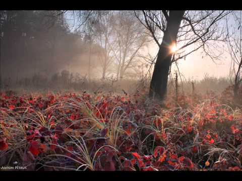 Dvorak - Romance for piano and violin, Op.11