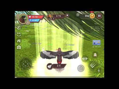 Leveling up my eagle to level 10 :D