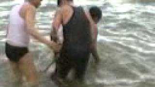 preview picture of video 'alams Gandi Pet Enjoyment .mp4'