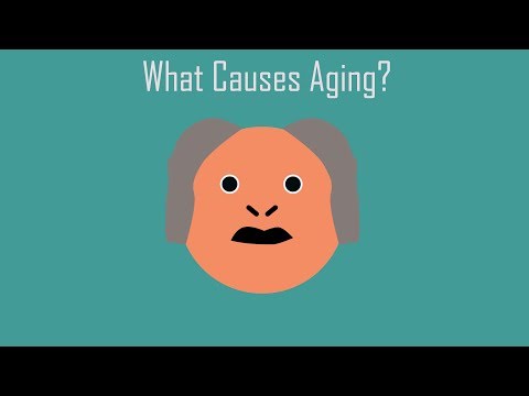What Causes Aging?