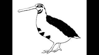 Arp Aubert - Actress (Lawrence Remix)