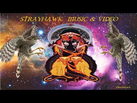 Strayhawk Space Sonification