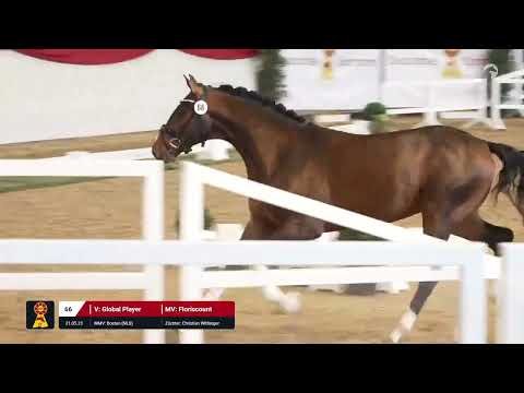 Lot 66v. Global Player / Floriscount