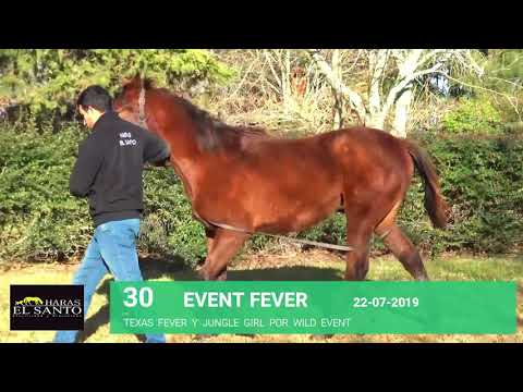 Lote EVENT FEVER