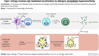 Lecture 9a: Allergy