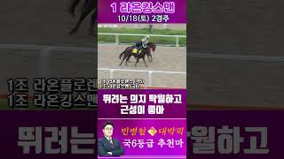 [서울 경마] 민병철대박픽 2025년 10월 18일 토요 2R 두번째 추천마 #경마 #하이라이트 #한국마사회 #고배당 #검빛 #코리아