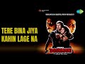 Tere Bina Jiya Kahin Lage Na Dushmani Sadhana Sargam Udit Narayan Songs