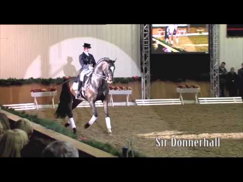 Sir Donnerhall E