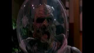 Dr. Wolfula- &quot;TerrorVision&quot; Review