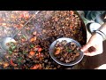 Tawa Fry Kaleji Recipe Bagh Mela Maidan Tirah Valley Liver Fry Recipe Khyber Street Food Tirah