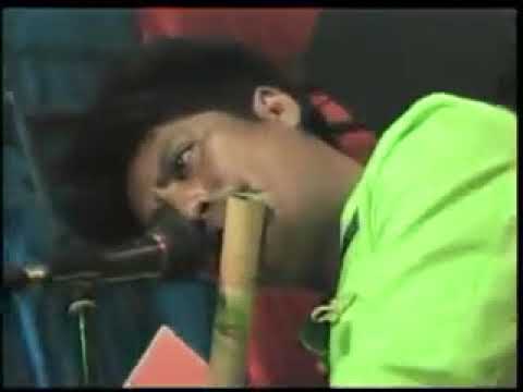 New Pallapa   Sebujur Bangkai