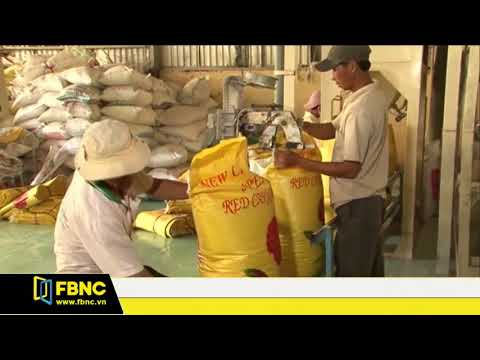 HIỆP HỘI LƯƠNG THỰC VN NÂNG MỤC TIÊU XUẤT KHẨU GẠO LÊN 5,6 TRIỆU TẤN