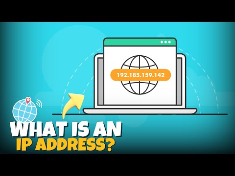 Everything You Should Know About IP Address: Types, Uses, and Differences