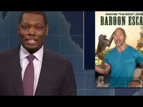 Weekend Update on Baboons Escaping Paris Zoo - SNL