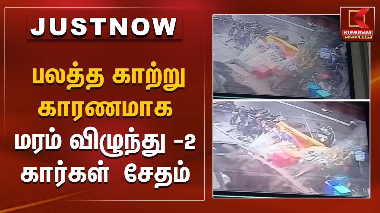 பலத்த காற்று காரணமாக  மரம் விழுந்து  2 கார்கள்  சேதம் | Tree Fall Accident | Car Damage