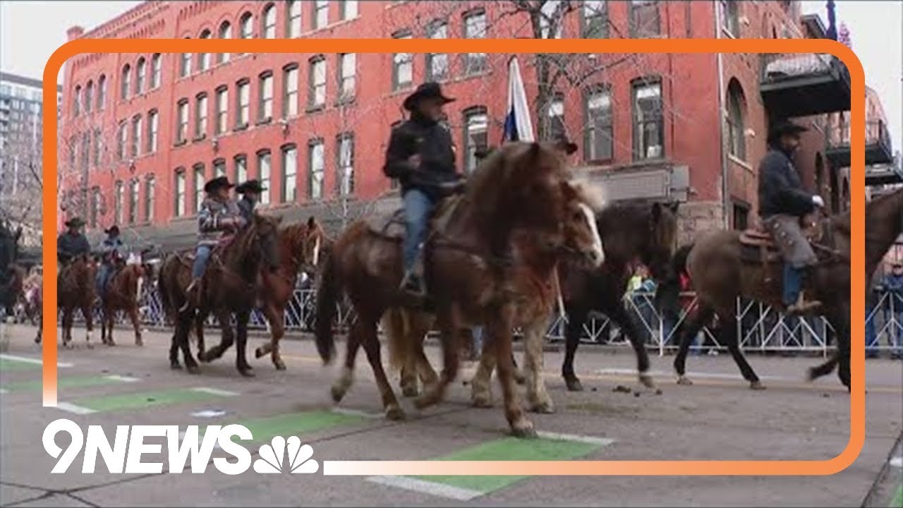 LIVE: National Western Stock Show Kick-Off Parade