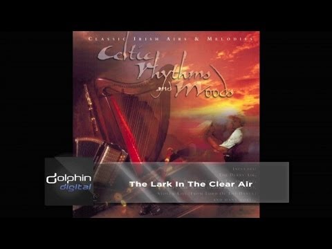 The Celtic Orchestra - The Lark in the Clear Air
