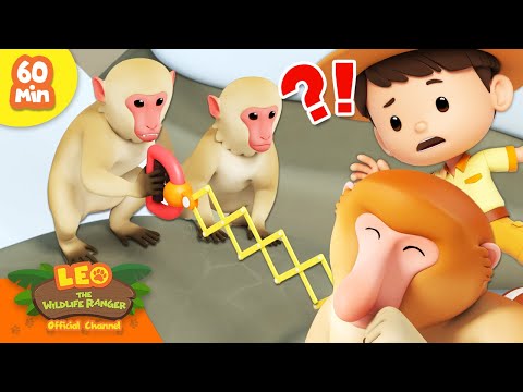 Witness21 Editor  2024 01 07