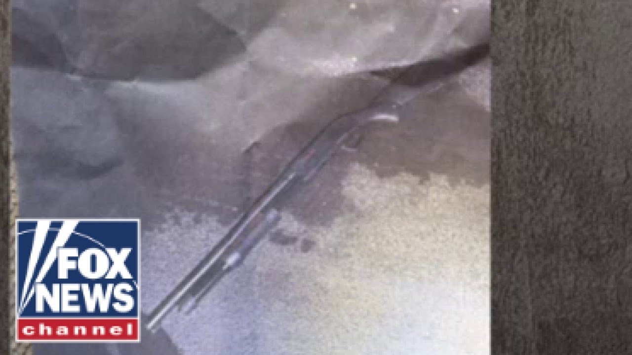 DETAILS: Mar-a-Lago gunman raised shotgun before he was shot, killed by officials