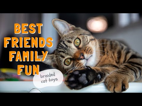 Family Fun! DIY Braided Cat Toy