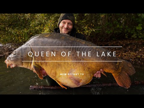 LAKE RECORD 32 kilos + | Autumn session with GIANT CARP!!