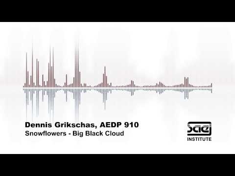 SAE Institute Köln - Dennis Grikschas - Big Black Cloud - Snowflowers